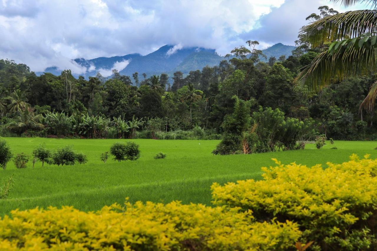 Ella Nature Valley Homestay Exterior photo
