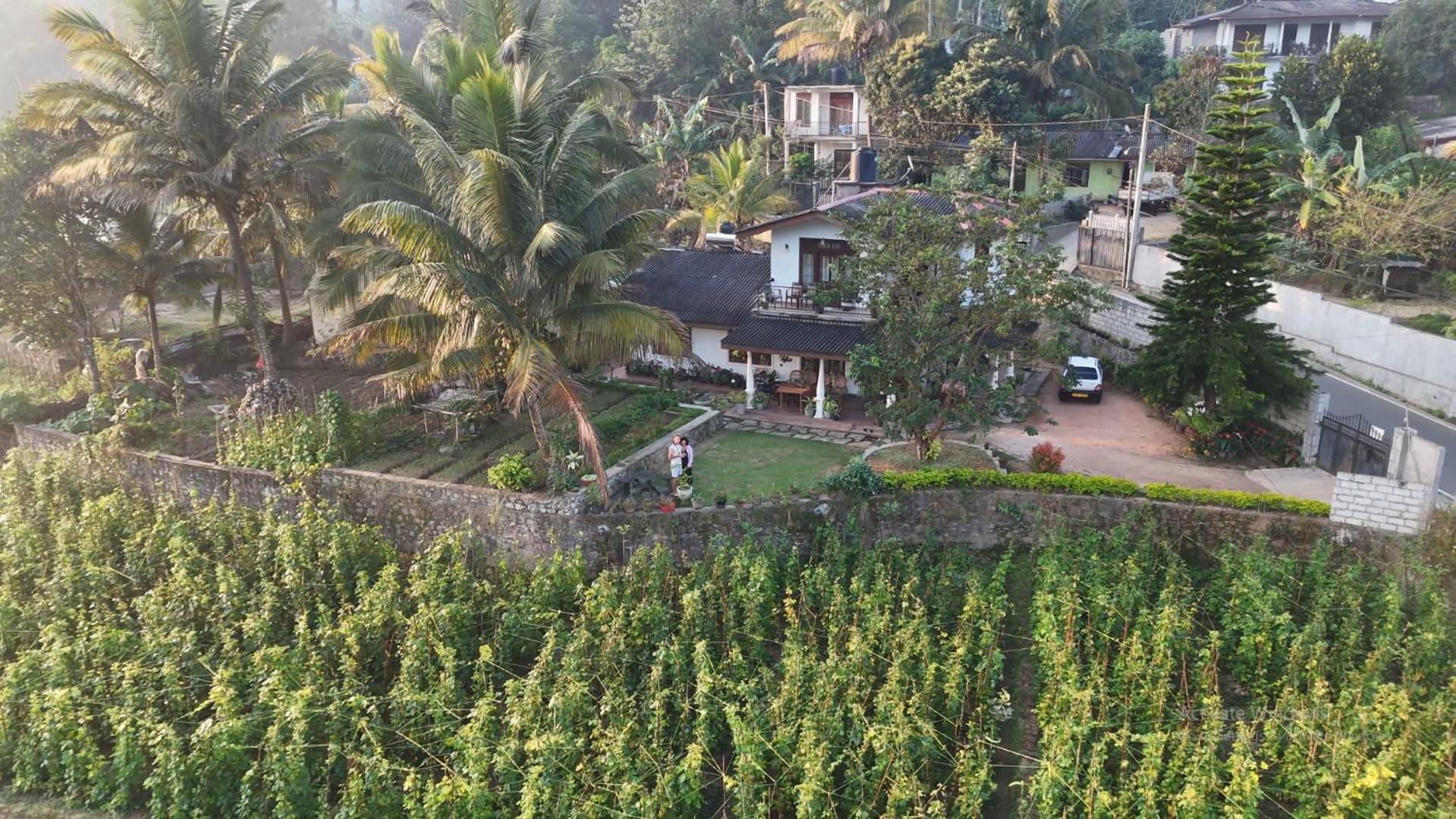 Ella Nature Valley Homestay Exterior photo