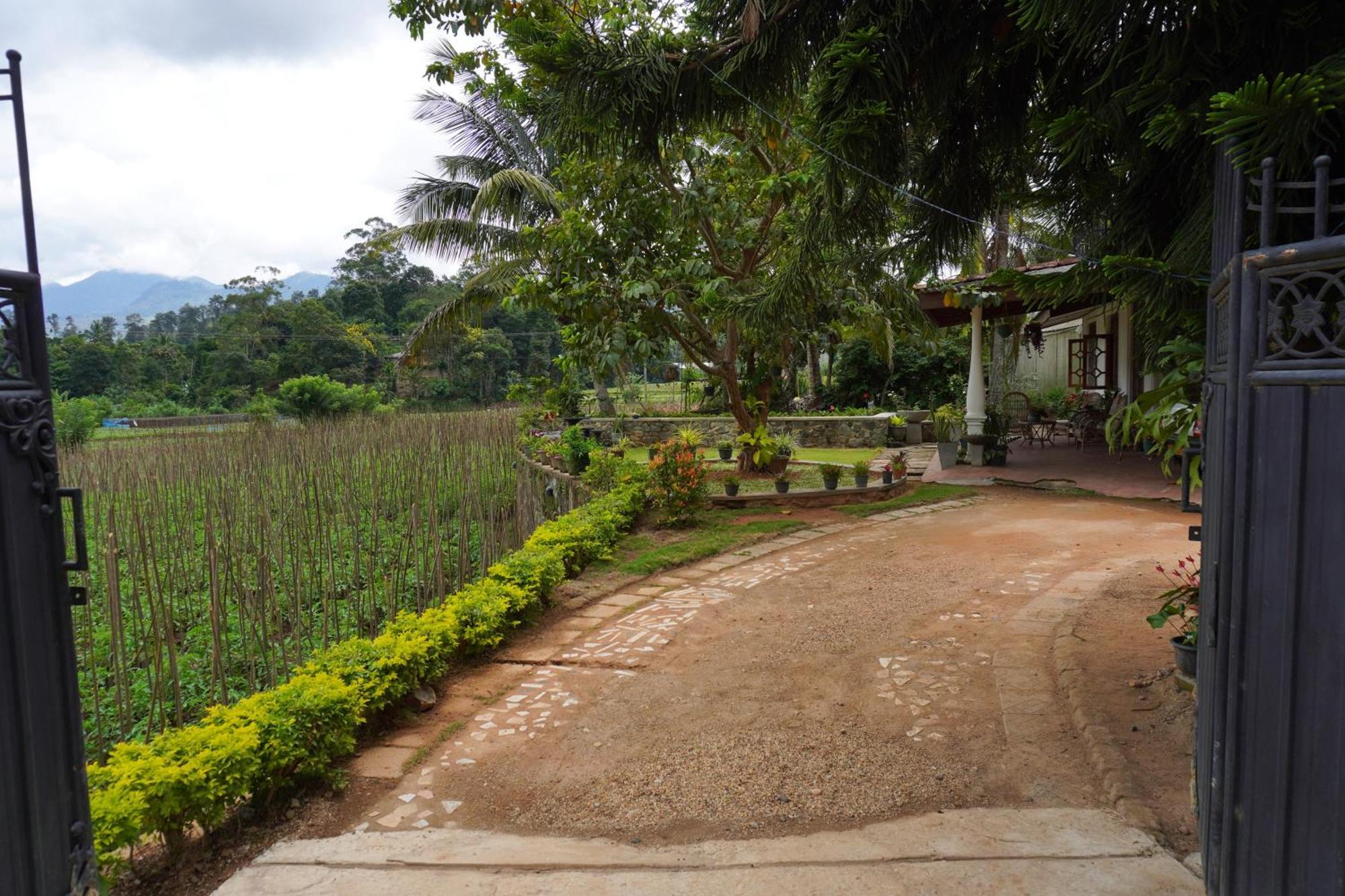 Ella Nature Valley Homestay Exterior photo