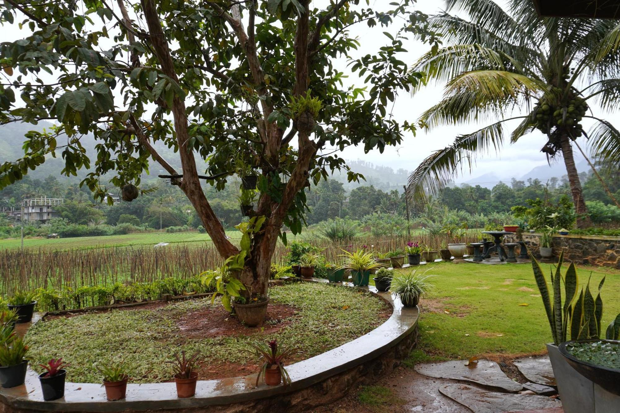 Ella Nature Valley Homestay Exterior photo
