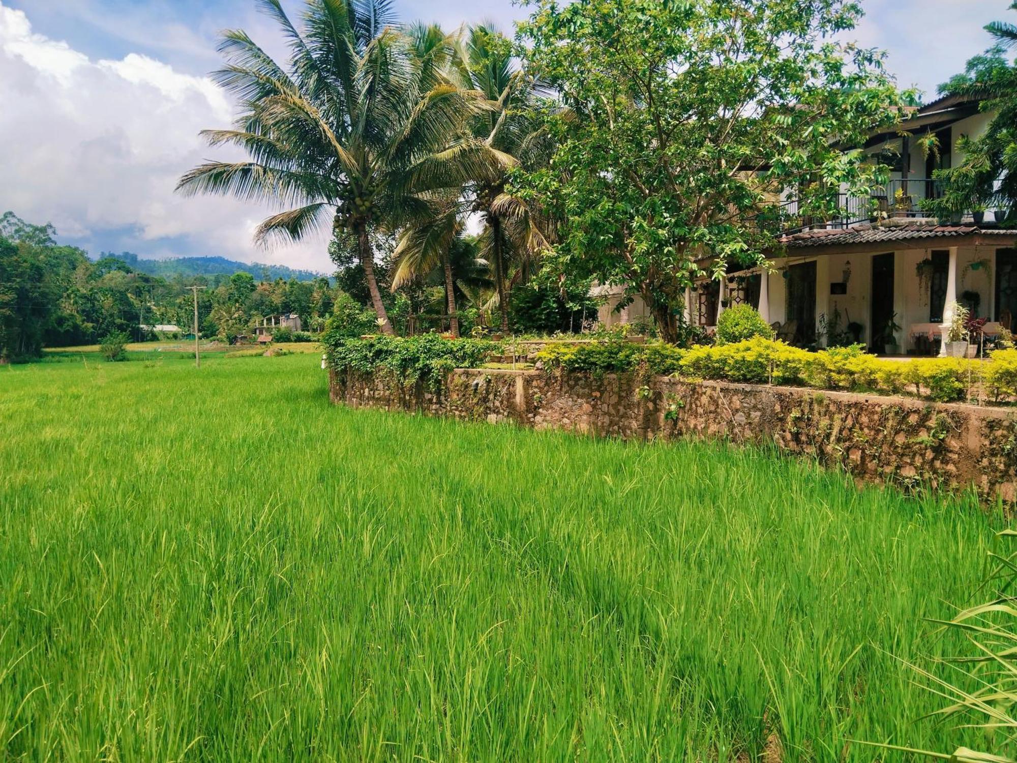 Ella Nature Valley Homestay Exterior photo
