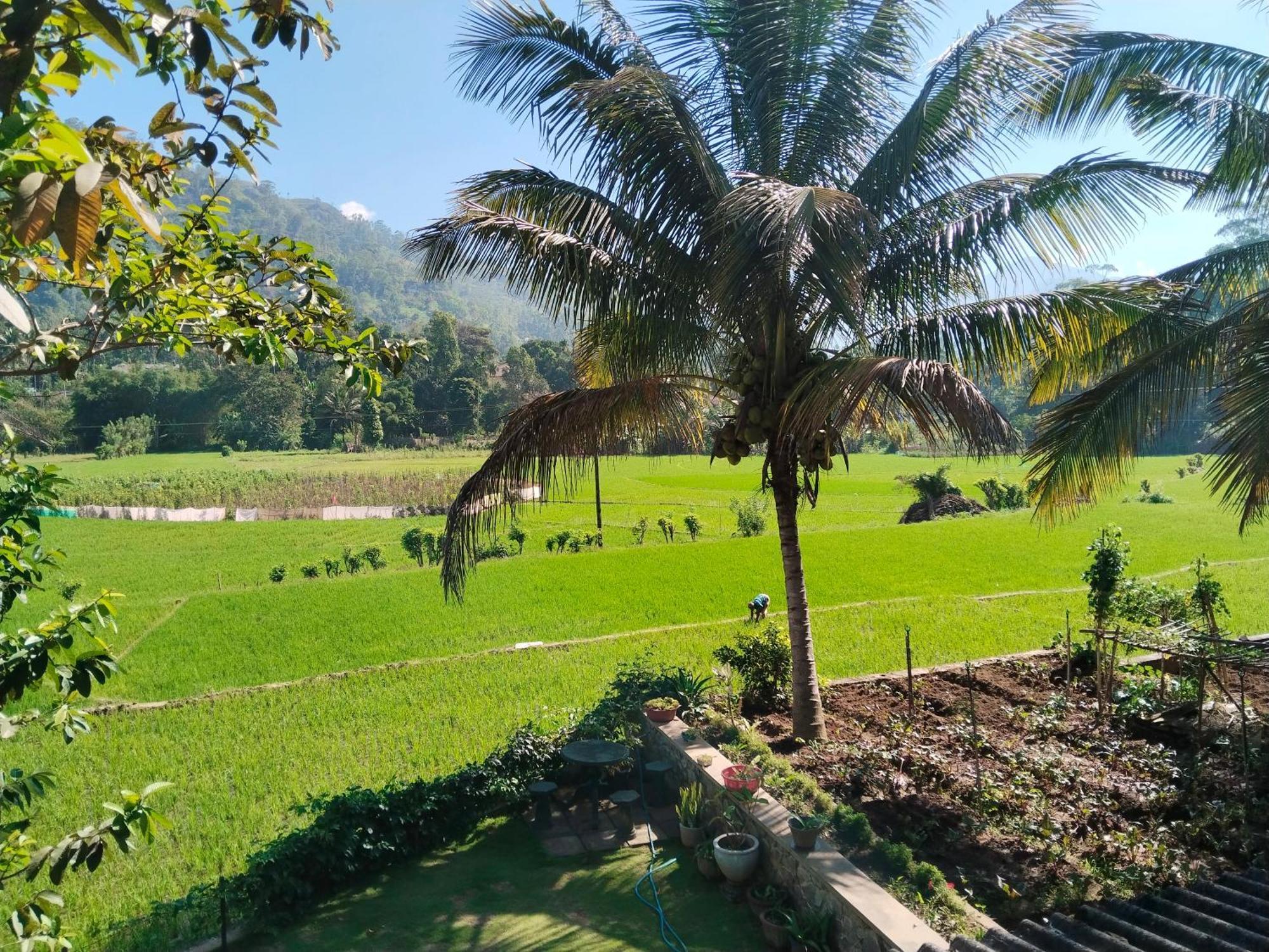 Ella Nature Valley Homestay Exterior photo