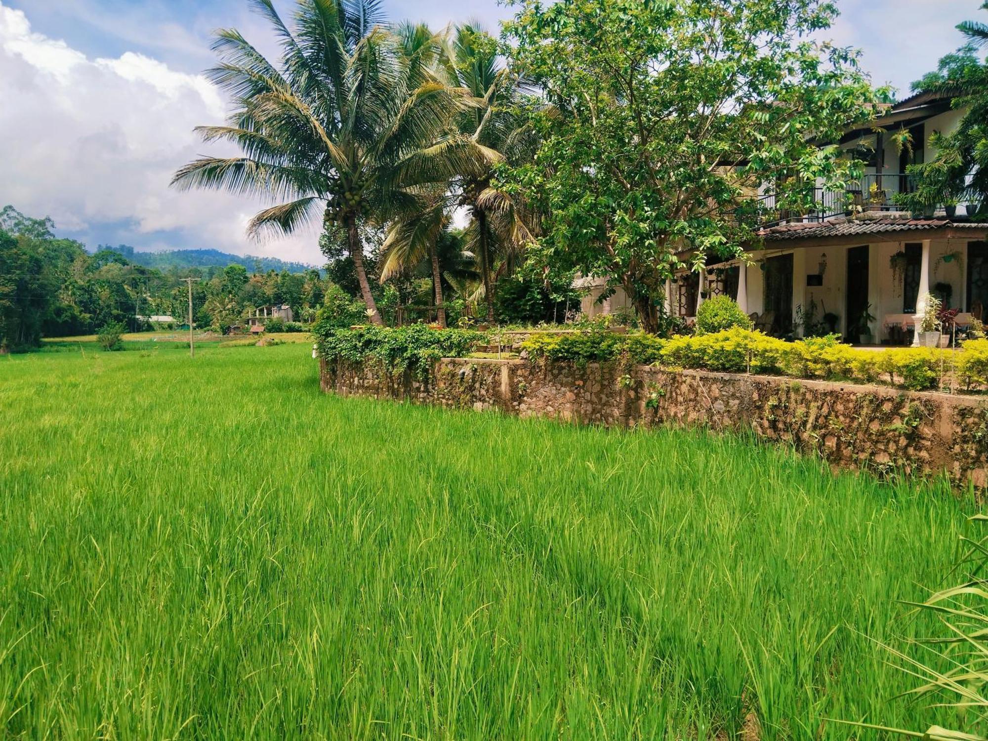 Ella Nature Valley Homestay Exterior photo